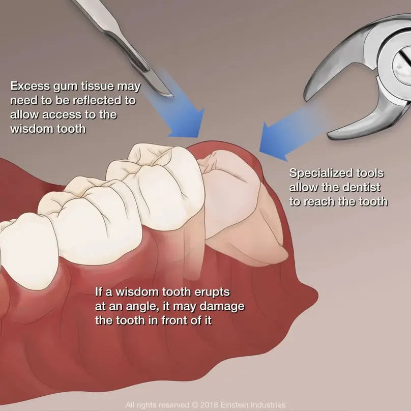 Happy Family Dental Centre dental clinic Vancouver